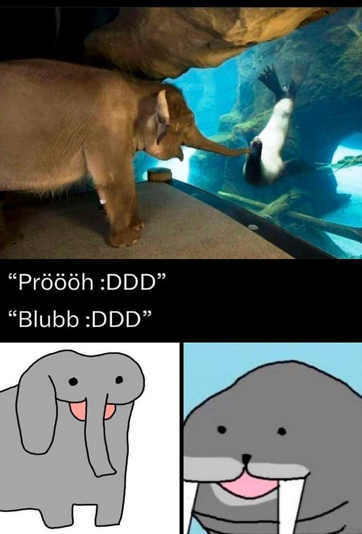 “Ргобой :DDD” “Blubb :DDD”