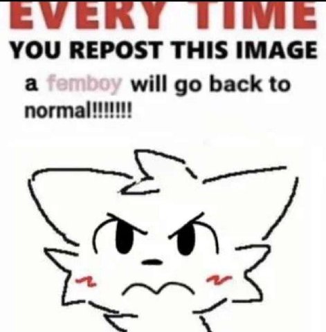 YOU REPOST THIS IMAGE normal will back to
