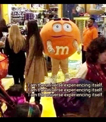 4 the universe experiencing Itself universe experiencing itself experiencing itself