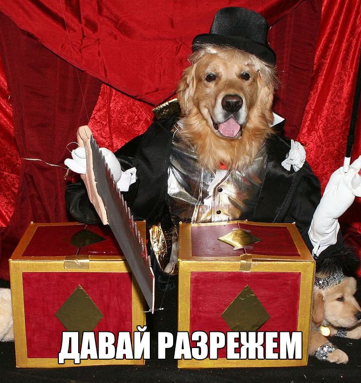 1 ДАВАЙ РАЗРЕЖЕМ