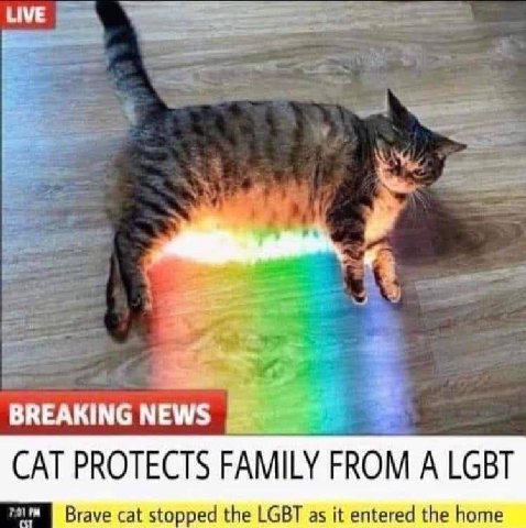 at BREAKING NEWS CAT PROTECTS FAMILY FROM А LGBT Вгауе cat stopped the LGBT as it entered the home
