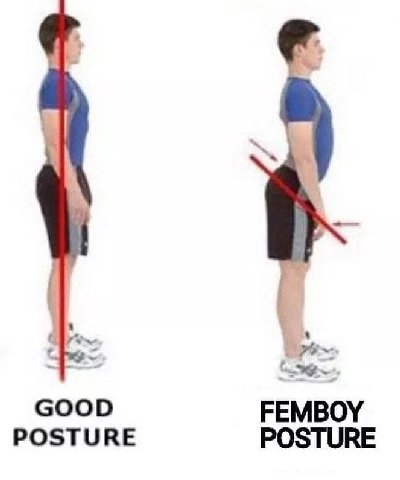 GOOD FEMBOY POSTURE POSTURE