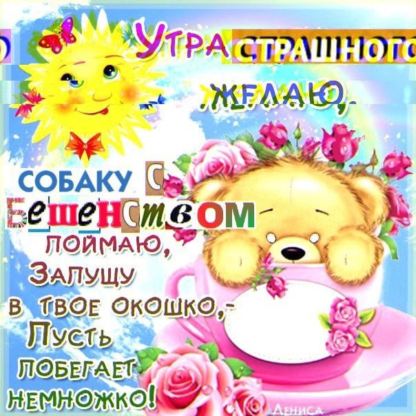 У MEA a СОБАКУ OKOWKO,- ПОБЕГАЕТ®,