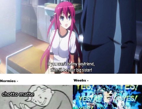boyfriend, your big sister! Normies Weebs у у 7