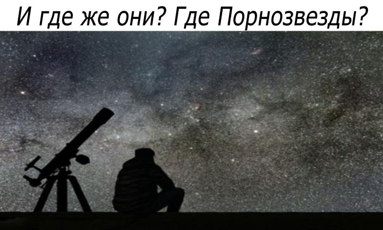 И где же они? Где Порнозвезды?