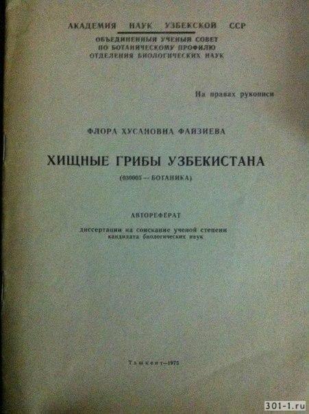 и тут нельзя не вспомнить мое любимое