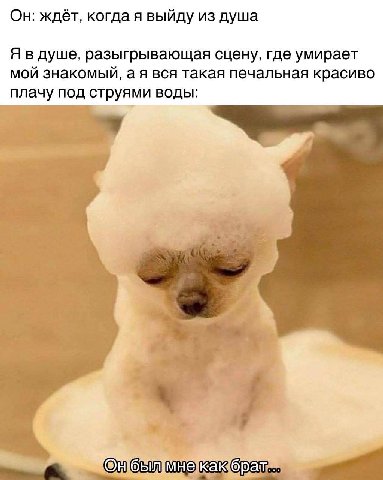Он: ждёт, когда я выйду из душа Я в душе, разыгрывающая сцену, где умирает мой знакомый, а я вся такая печальная красиво плачу под струями воды: мые «брат