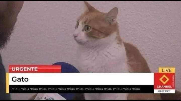 URGENTE CHANNEL