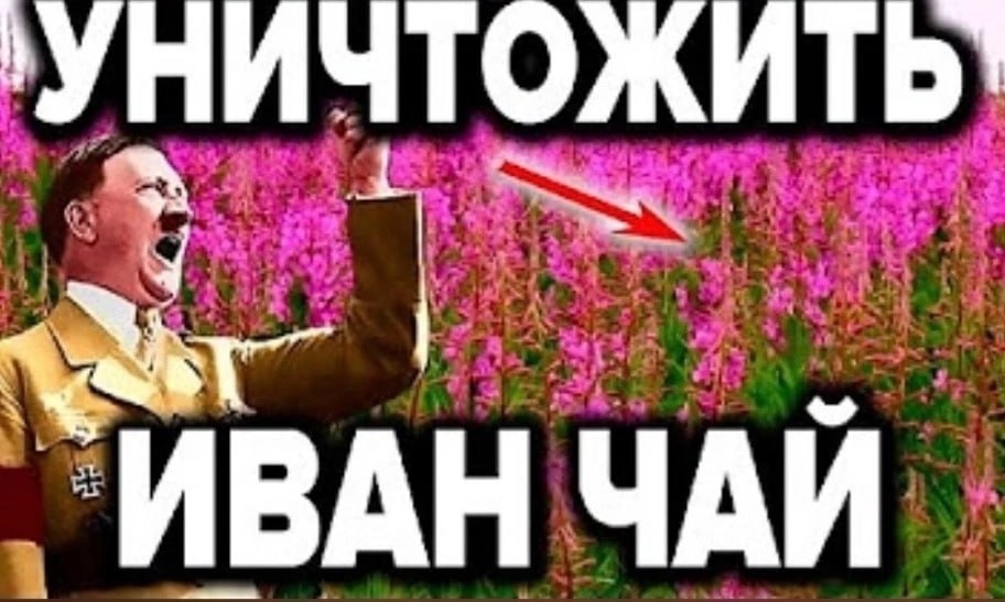 у `ИВАН ЧАЙ