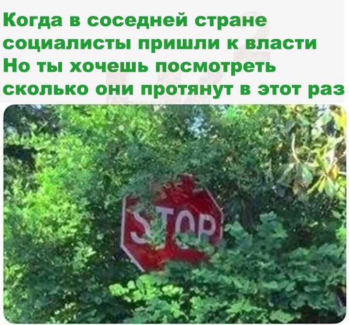 Когда в соседней стране социалисты пришли к власти Но ты хочешь посмотреть сколько они протянут в этот раз 4 4. я 1% 2 у у 2
