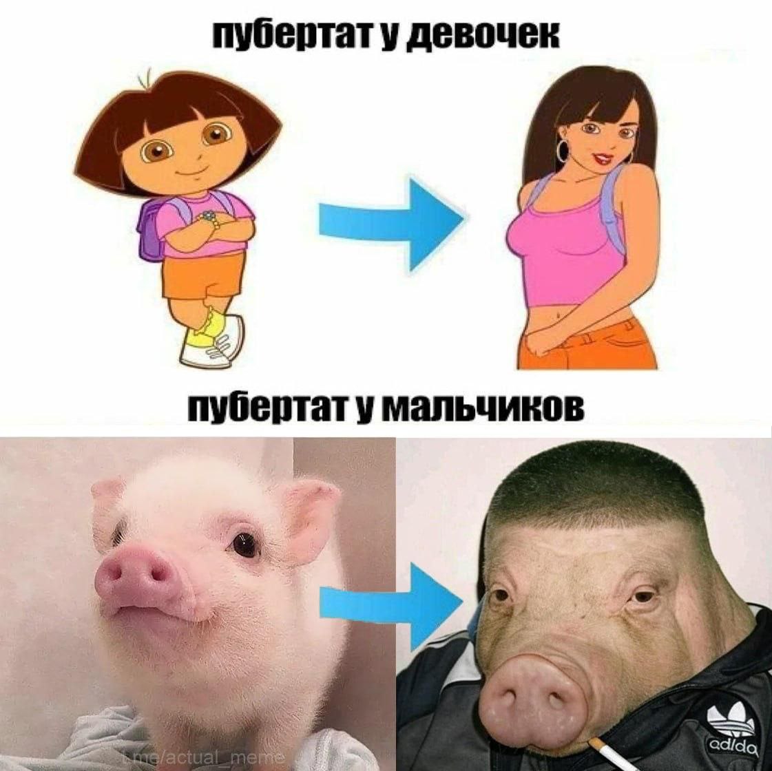пубертату девочек пубертат у мальчиков A a@