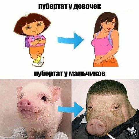 пубертату девочек пубертат у мальчиков A a@
