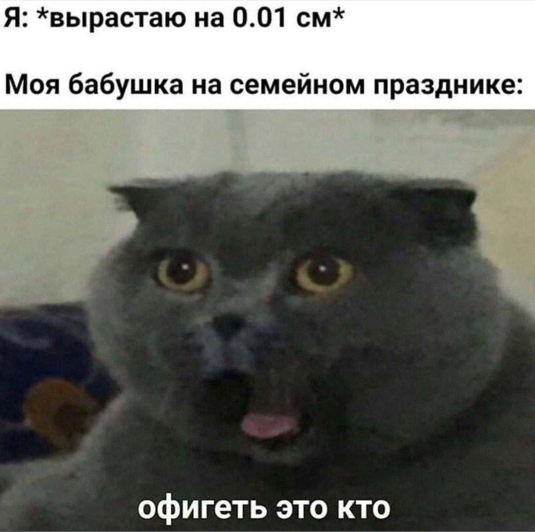 Я: *вырастаю на 0.01 Моя бабушка на семейном празднике офигеть это кто