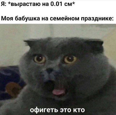 Я: *вырастаю на 0.01 Моя бабушка на семейном празднике офигеть это кто