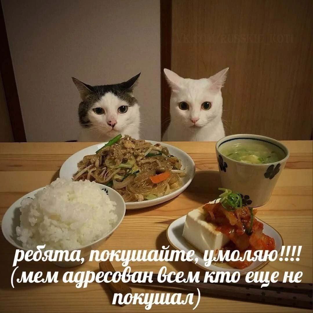 ребята, покушайте, умоляю!!! (mem адресован всем кто еще не покушал)