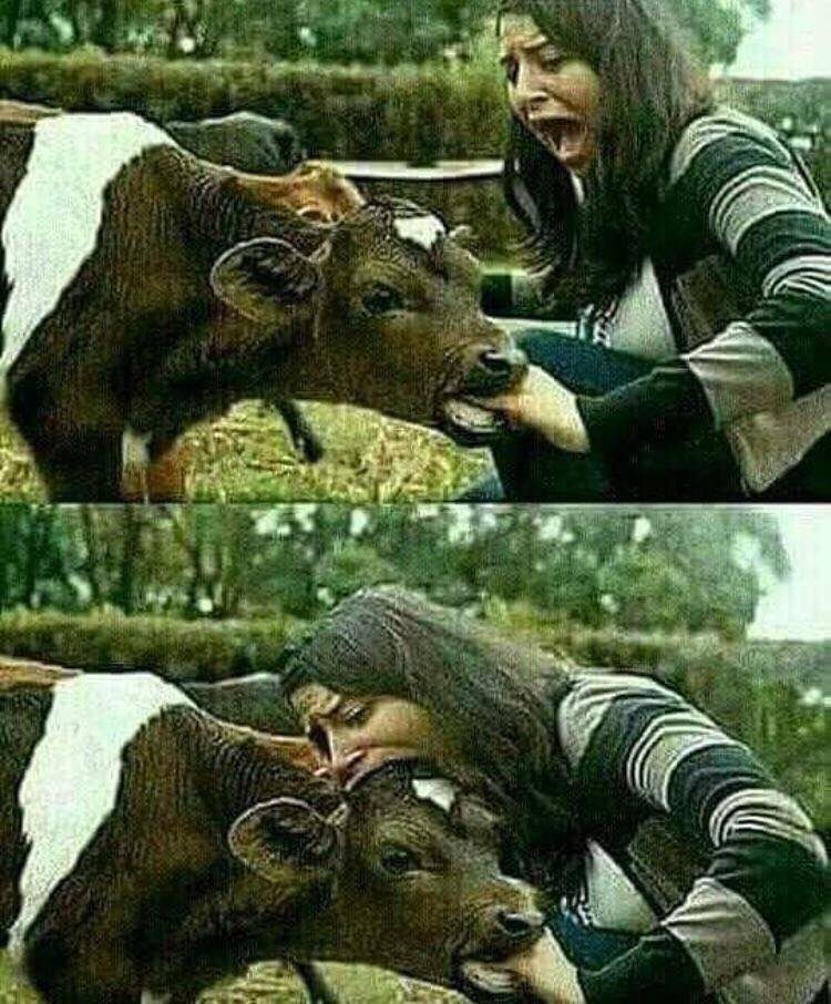Я. aN