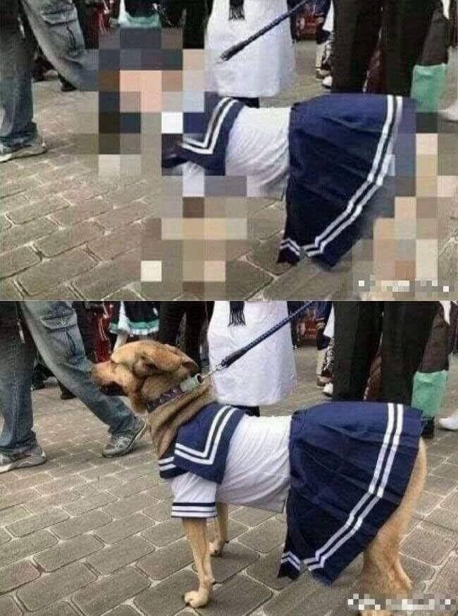 с i} ity lig 4 Я 4 я 4 и У я у У 4 or