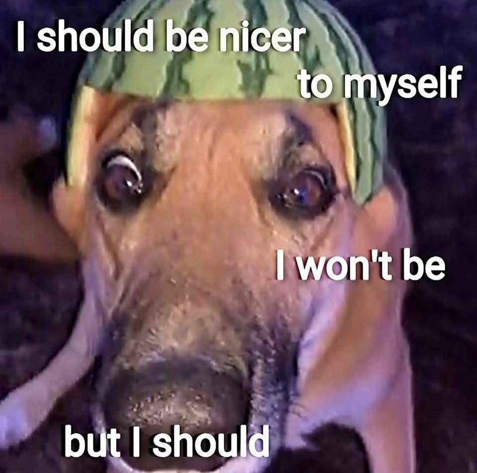 should be nicer 4 to myself won't be but should