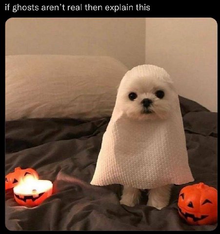 if ghosts aren’t real then explain this