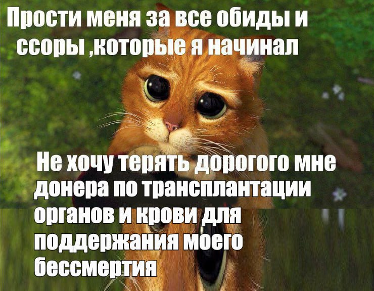 Прости меня за все обиды и ссоры ‚которые я начинал Не хочу терять дорогого мне донера по трансплантации органов и крови для поддержания моего бессмертия