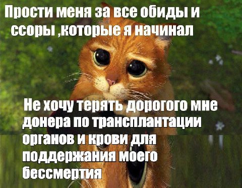 Прости меня за все обиды и ссоры ‚которые я начинал Не хочу терять дорогого мне донера по трансплантации органов и крови для поддержания моего бессмертия