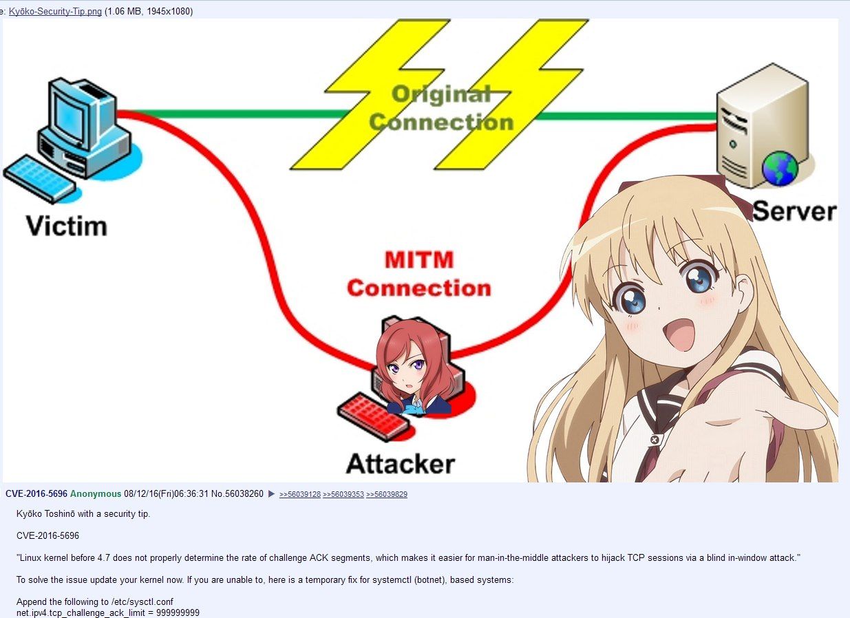 2: (1.06 оппес Victim MITM Connection Attacker A CVE-2016-5696 Anonymous 08/12/16(Fri)06:36:31 №.56038260 >>56039128 =>56039353 >>56039829 Кубко ТозНпб with a security tip. CVE-2016-5696 “Linux kernel