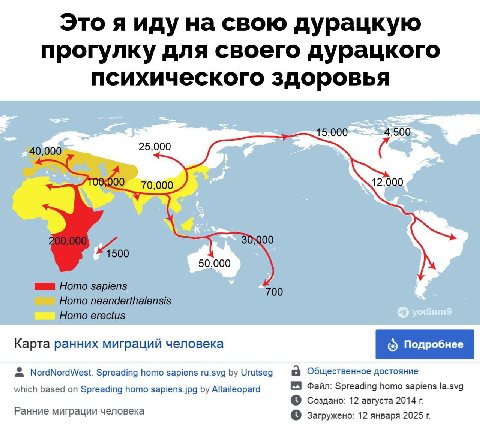 Это я иду на свою дурацкую прогулку для своего дурацкого психического здоровья 15,000 4;500 40,000 25,000 100 70,000 12,000 1500 50,000 Homo sapiens 700 Homo neanderthalensis Homo erectus Карта ранних