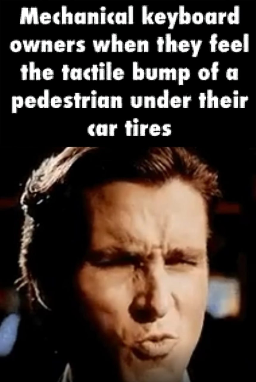 Mechanical keyboard owners when they feel the tactile bump of a pedestrian under their car tires а
