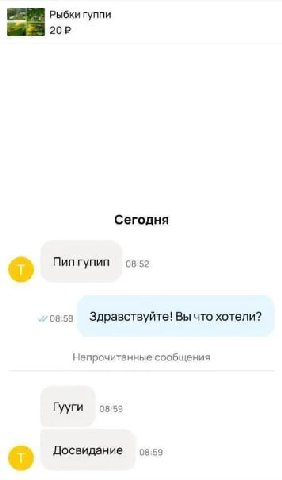 Рыбки гуппи Сегодня Пип гупип 08:52 08:58 Здравствуйте! Вы что хотели? Непрочитанные сообщения Гууги 08:59 Досвидание 08:59