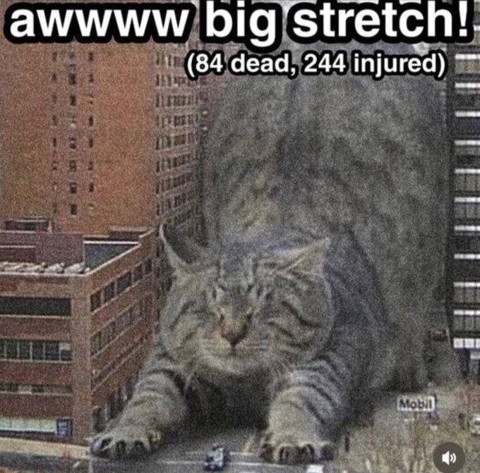 awwww big (84 dead, 244 injured)
