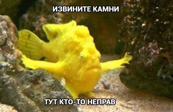 ИЗВИНИТЕ КАМНИ ТУТ КТО-ТО НЕПРАВ
