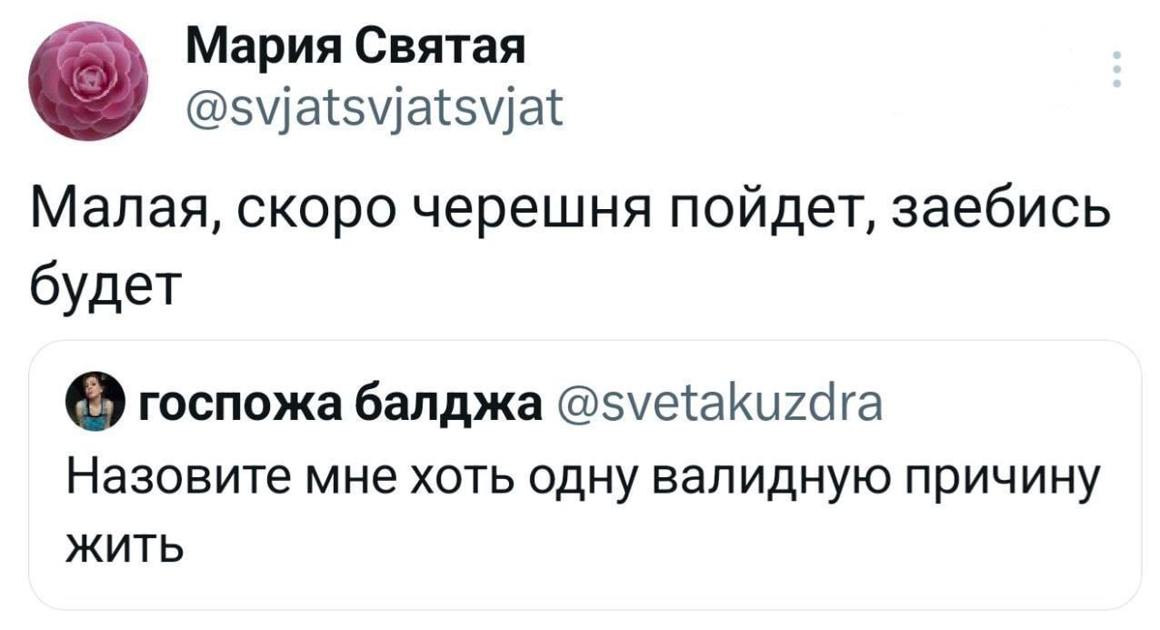 Мария Святая @svjatsvjatsvjat Малая, скоро черешня пойдет, заебись будет госпожа балджа @svetakuzdra Назовите мне хоть одну валидную причину ЖИТЬ
