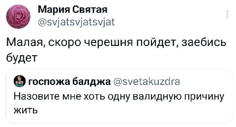 Мария Святая @svjatsvjatsvjat Малая, скоро черешня пойдет, заебись будет госпожа балджа @svetakuzdra Назовите мне хоть одну валидную причину ЖИТЬ