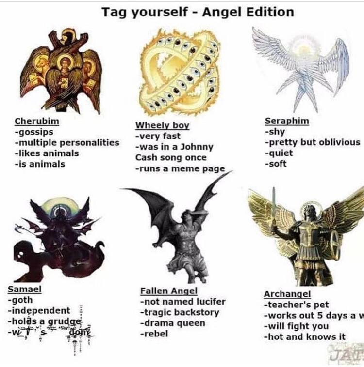 Tag yourself Angel Edition (5) “i 1 i 3 1 Cherubim Wheely Seraphim -gossips -very fast -shy -multiple personalities -was in a Johnny -pretty but oblivious -likes animals Cash song once -is animals -ru
