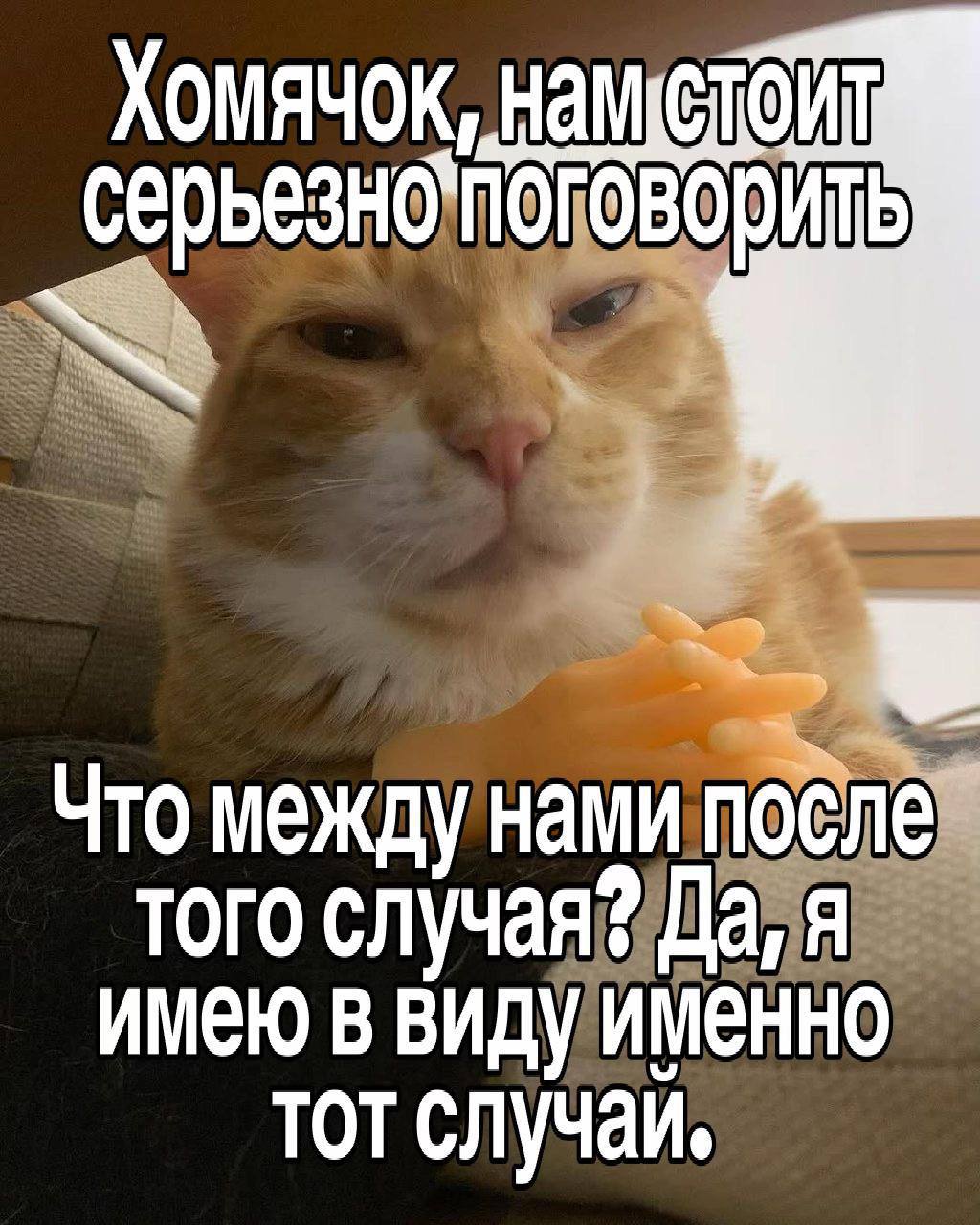 XOMAYOK, Поговорить Что между нами после того случая? Да, я имею в виду именно тот случай,