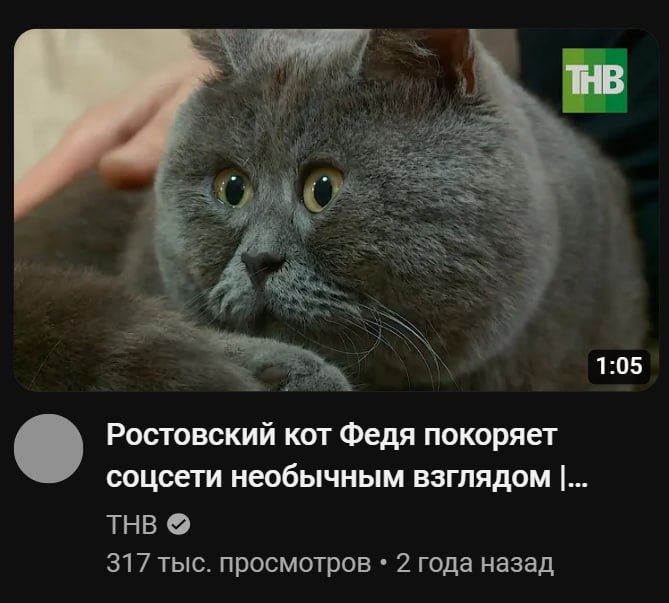 ну рил ебальник смешной