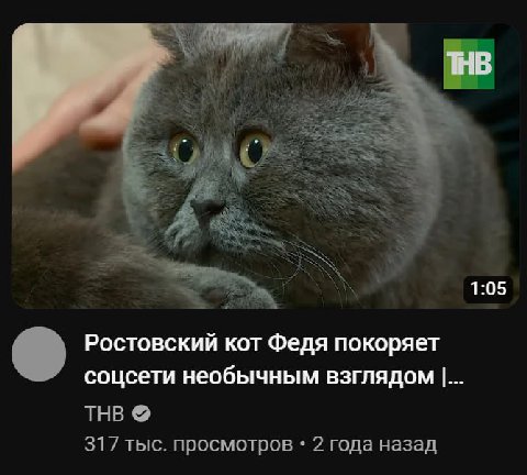 ну рил ебальник смешной