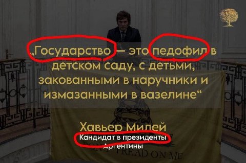 „государство это педофил в детском саду, с детьми, закованными в наручники и измазанными в вазелине" Хавьер Милеи Кандидат в президенты Api