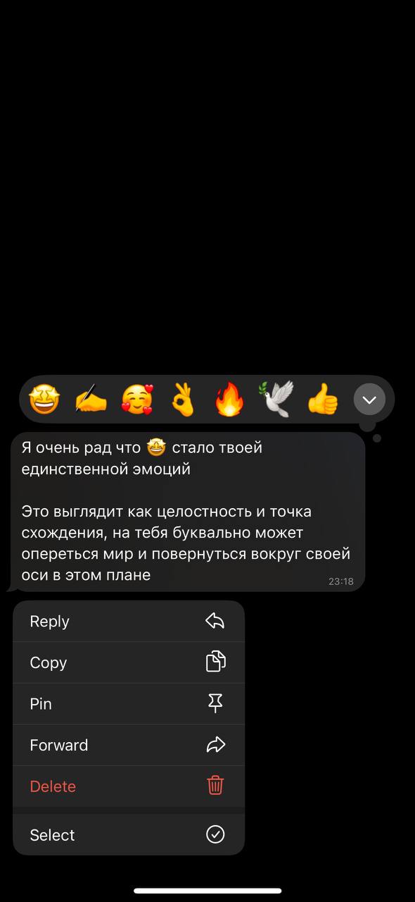 Я очень рад что стало твоей единственной эмоций Это выглядит как целостность и точка схождения, на тебя буквально может опереться мир и повернуться вокруг своей оси в этом плане Веру «А Сору Pin Forwa