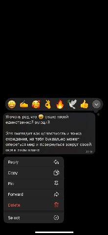 Я очень рад что стало твоей единственной эмоций Это выглядит как целостность и точка схождения, на тебя буквально может опереться мир и повернуться вокруг своей оси в этом плане Веру «А Сору Pin Forwa
