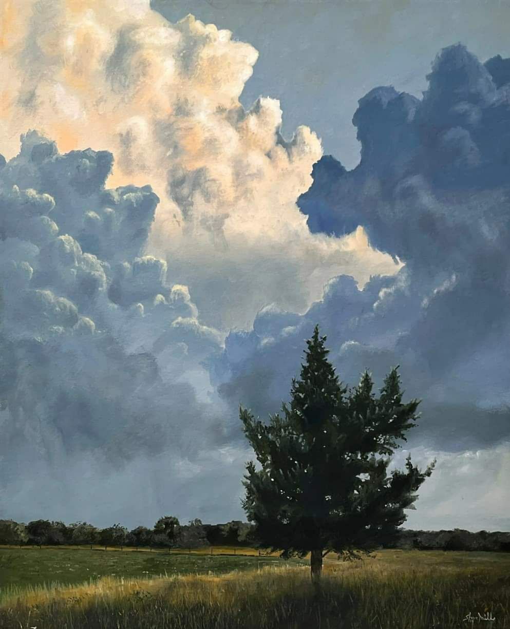 Steve Mills