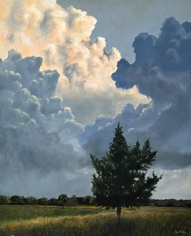 Steve Mills