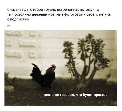 они: знаешь, с тобой трудно встречаться, потому что ты постоянно делаешь мрачные фотографии своего петуха с подписями я: 4 2% ‘а ‘i никто не говорил, что будет просто..