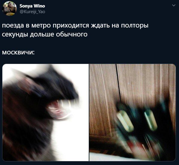 бопуа Wino @Кигей_Уао поезда в метро приходится ждать на полторы секунды дольше обычного МОСКВИЧИ: И