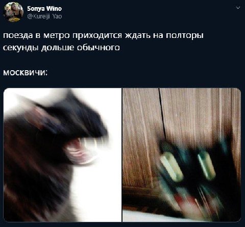 бопуа Wino @Кигей_Уао поезда в метро приходится ждать на полторы секунды дольше обычного МОСКВИЧИ: И