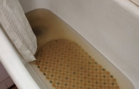 Водой с говном вынуждены мыться жители Воронежа

Жителей дома на улице Перевёрткина, 18 буквально топит коричневой взвесью, лишь на некоторую часть состоящей из воды.

Унитаз в квартире местной житель