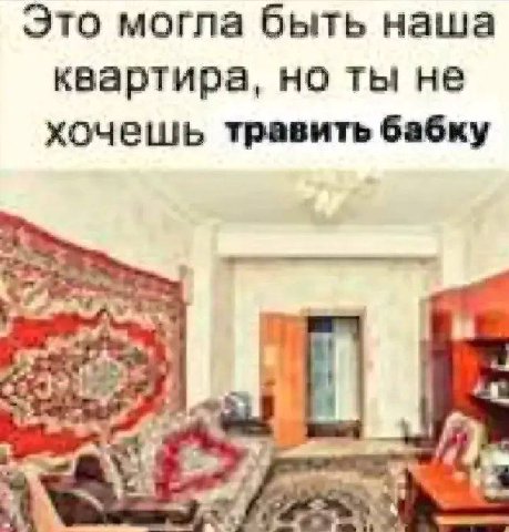 Это могла быть наша квартира, но ты не хочешь травить бабку 331