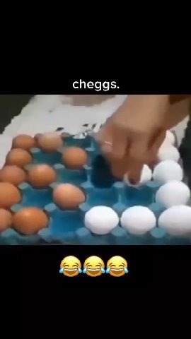 cheggs. 4 4