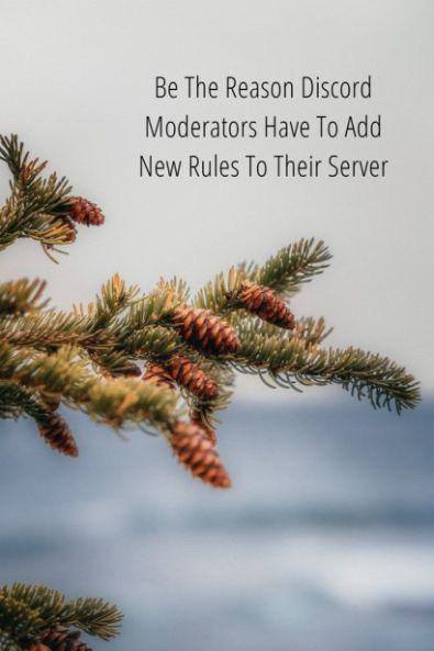 The Reason Discord Moderators Have To Add New Rules To Their Server