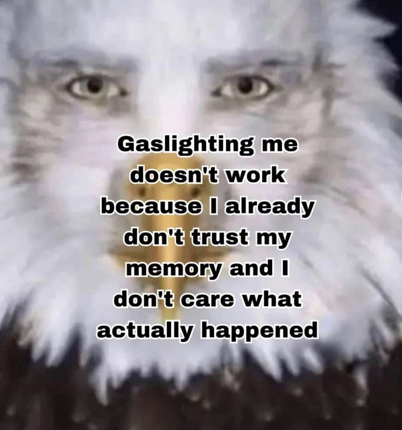 Gaslighting me doesnit work because already don'titrust my memory and care what actually happened